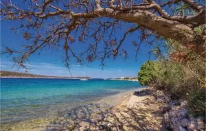 🌅 Entspannen und Genießen: Ferienwohnungen in Barbat auf der Insel Rab
Barbat auf der Insel Rab ist ein Ort zum Durchatmen. Inmitten duftender Olivenhaine und türkisblauem Meer findest du hier traumhafte Ferienwohnungen in Barbat, die zum Wohlfühlen und Verweilen einladen. Ob du Ruhe suchst oder Abenteuer erleben willst – Barbat ist dein perfekter Rückzugsort in Kroatien.

🏖️ Urlaub in Barbat, Rab: Naturparadies mit Komfort-Ferienwohnungen
Von schattigen Stränden bis zu kristallklarem Wasser – Barbat bietet eine einzigartige Kulisse für deinen nächsten Kroatienurlaub. Die Ferienunterkünfte in Barbat liegen oft direkt am Meer und laden zum Baden, Spazieren und Entspannen ein.

⛵ Aktivitäten rund um deine Ferienwohnung in Barbat: Meer, Kultur & Genuss
Langeweile? Fehlanzeige! In der Umgebung deiner Ferienwohnung in Barbat kannst du:

Bootstouren zu Nachbarinseln machen

Wassersport betreiben

charmante Dörfer und historische Sehenswürdigkeiten entdecken

die kulinarische Vielfalt der Region erleben

🍽️ Kulinarischer Urlaub in Barbat: Von der Ferienwohnung ins Restaurant am Meer
Wenn du den Sonnenuntergang genießt, wird Barbat besonders romantisch. Zahlreiche Restaurants in Barbat servieren fangfrischen Fisch und kroatische Spezialitäten – ideal für ein Abendessen direkt am Strand nach einem entspannten Tag in deiner Ferienwohnung am Meer.

🏠 Ferienwohnungen in Barbat: Komfort, Gastfreundschaft & Meerblick
Die Ferienwohnungen in Barbat auf Rab bieten:

moderne Ausstattung

Balkone mit Meerblick

fußläufige Nähe zum Strand

Gastgeber, die mit Herzlichkeit und Tipps deinen Urlaub bereichern

🔍 So findest du die perfekte Unterkunft in Barbat – Tipps & Buchungsportale
Ob für Paare, Familien oder Alleinreisende: Die Ferienwohnungen in Barbat sind so vielfältig wie ihre Gäste. Nutze bekannte Plattformen wie FeWo-direkt, Booking oder Airbnb, um die passende Unterkunft zu finden – oft mit echten Bewertungen und Bildern.

✅ Fazit: Dein perfekter Kroatienurlaub in einer Ferienwohnung in Barbat, Rab
Barbat ist mehr als nur ein Reiseziel – es ist ein Ort, an dem du zur Ruhe kommst und dich neu mit der Natur verbindest. Mit der richtigen Ferienwohnung in Barbat wird dein Kroatienurlaub zum unvergesslichen Erlebnis. Worauf wartest du? Deine Auszeit am Meer beginnt jetzt!